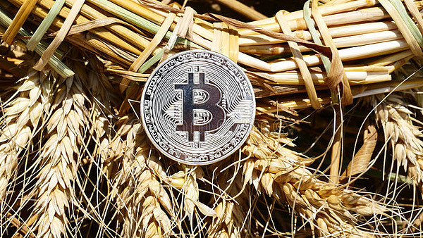 币圈狂欢！昨日比特币多单狂揽700点收益