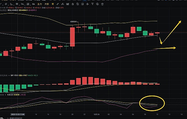 Big Time的中国狂欢：一场短暂的财富幻梦