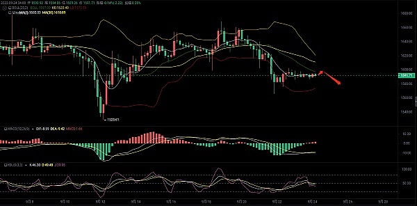 社区自治新纪元：1.29亿TT引爆DAO公会热潮